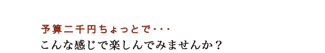 予算二千円ちょっとで・・・